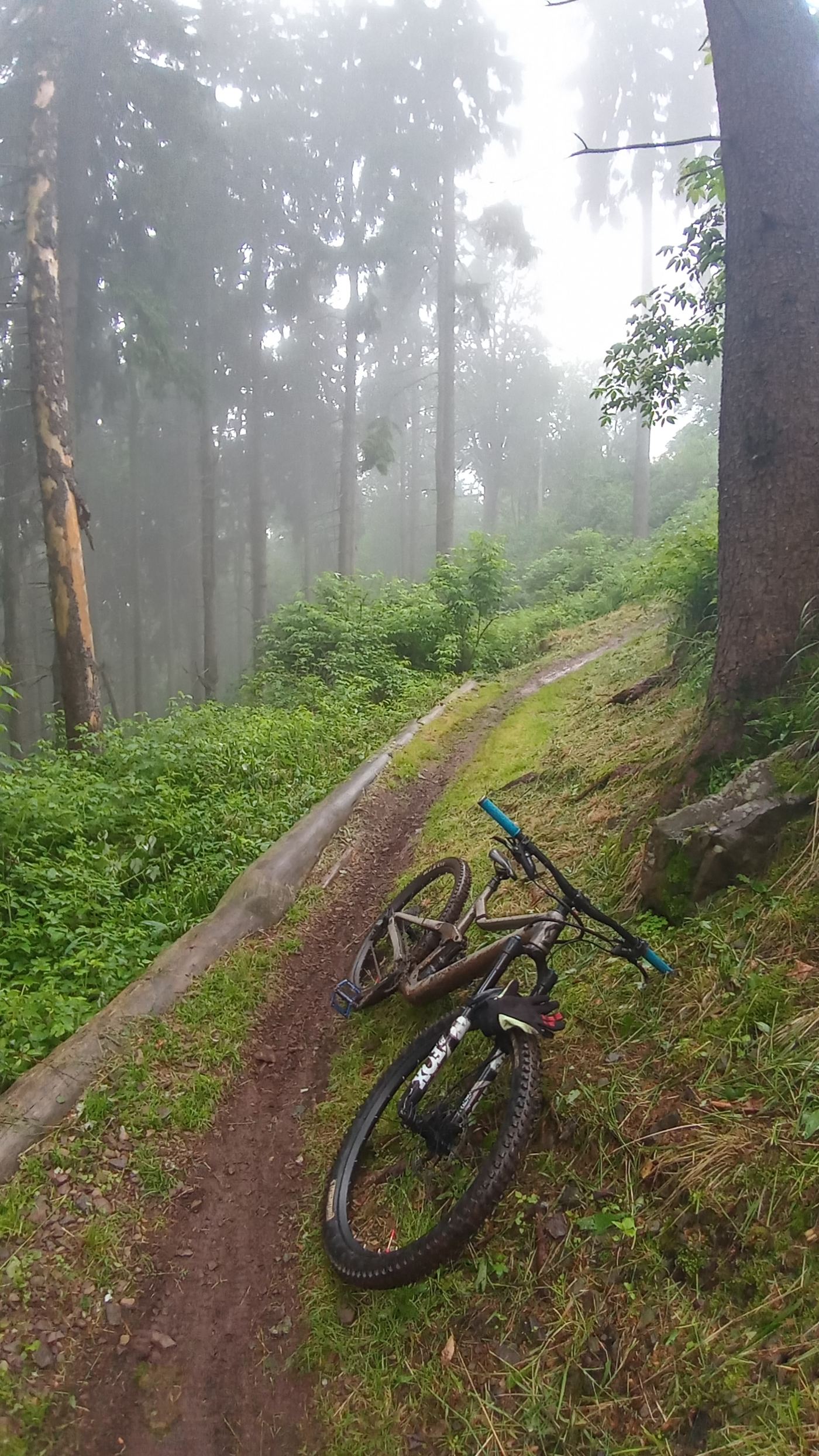 Rower leżący na wąskim singletracku w lesie