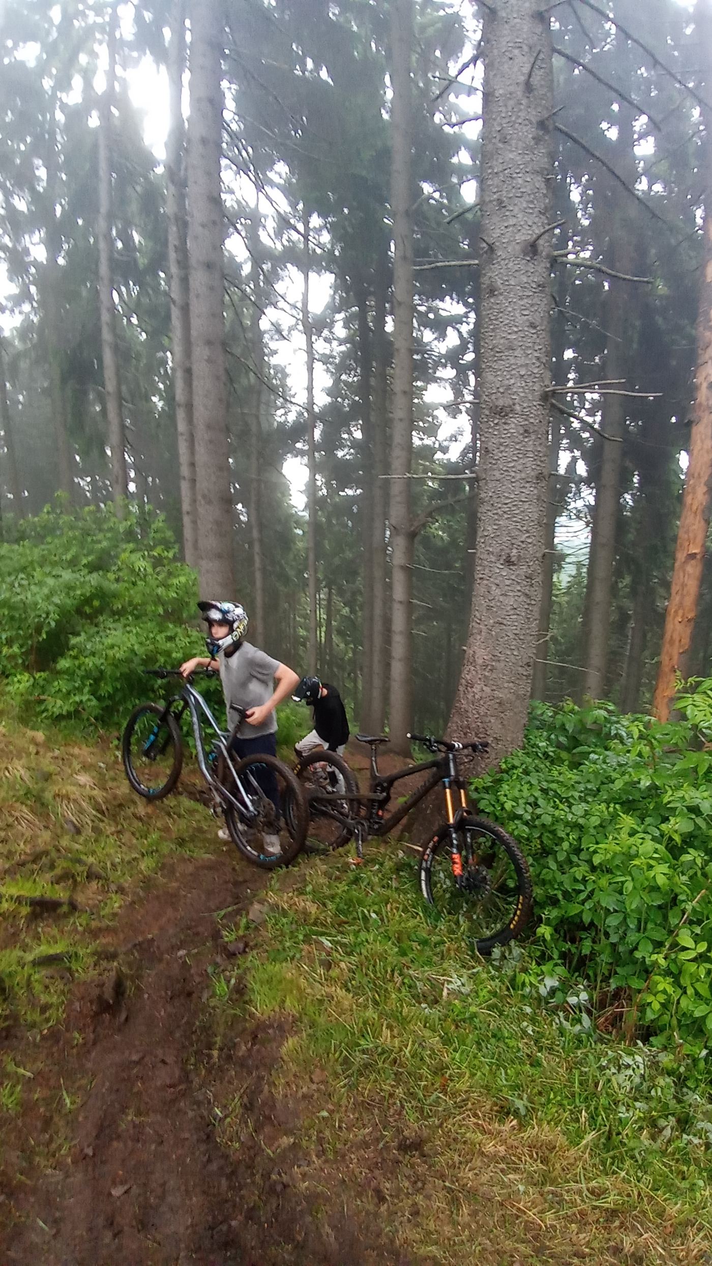 Riderzy na trasie zjazdowej w lesie